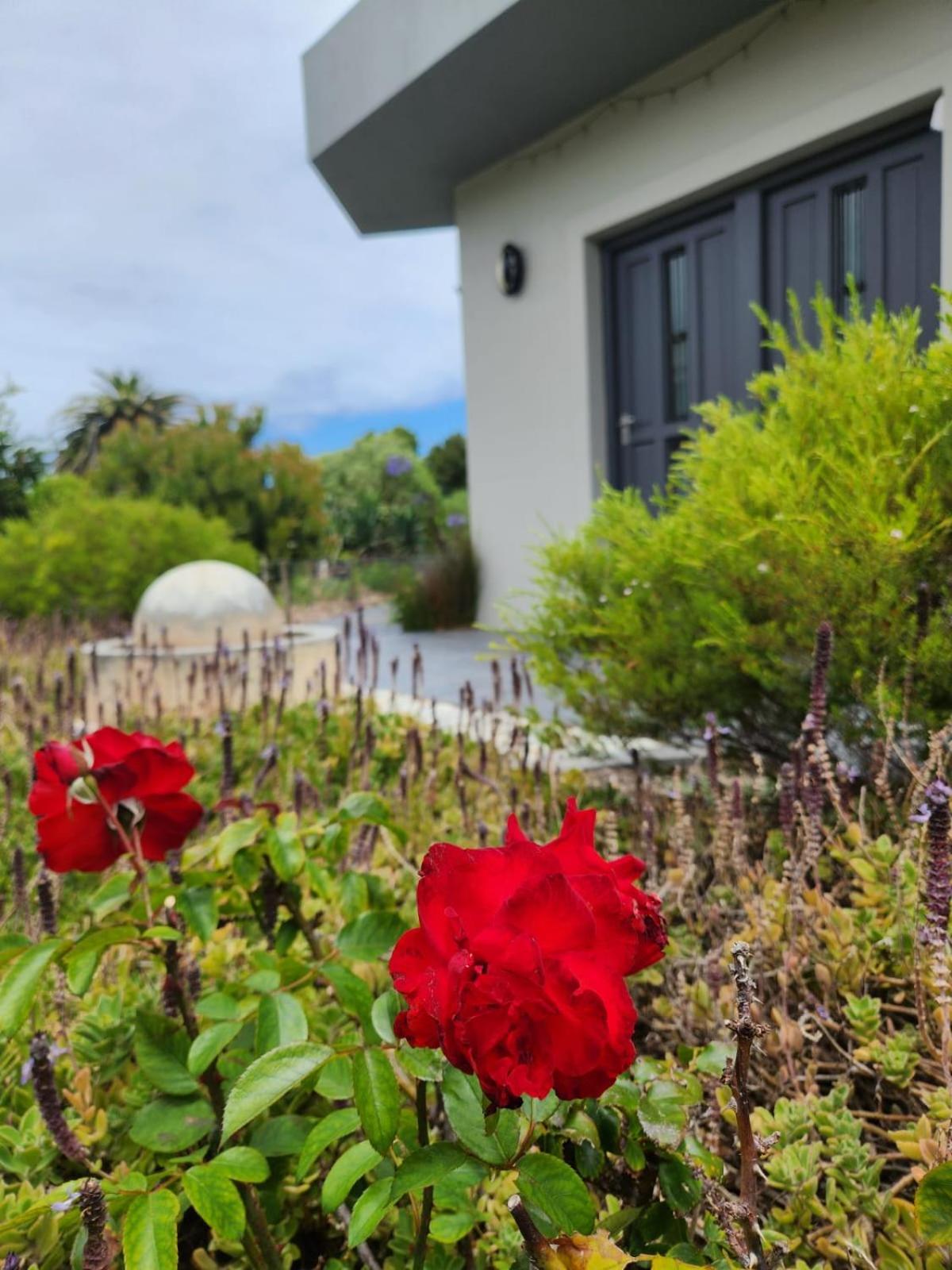 Moondust Near The Ocean, Food And Wine Holiday home Hermanus